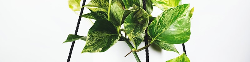 2026年国际足联世界杯官方宣传海报，大力神杯闪耀